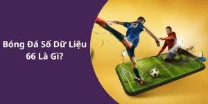Bóng Đá Số Dữ Liệu 66 Là Gì