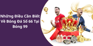 Những Điều Cần Biết Về Bóng Đá Số 66 Tại Bóng 99