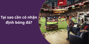 Tại sao cần có nhận định bóng đá