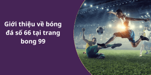 Giới thiệu về bóng đá số 66 tại trang bong 99