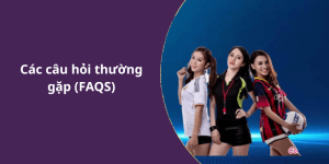 Các câu hỏi thường gặp (FAQS)