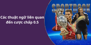 Các thuật ngữ liên quan đến cược chấp 0.5