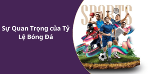 Sự Quan Trọng của Tỷ Lệ Bóng Đá