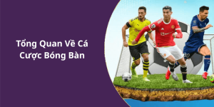 Tổng Quan Về Cá Cược Bóng Bàn