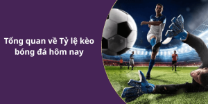 Tổng quan về Tỷ lệ kèo bóng đá hôm nay
