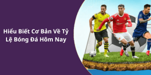 Hiểu Biết Cơ Bản Về Tỷ Lệ Bóng Đá Hôm Nay